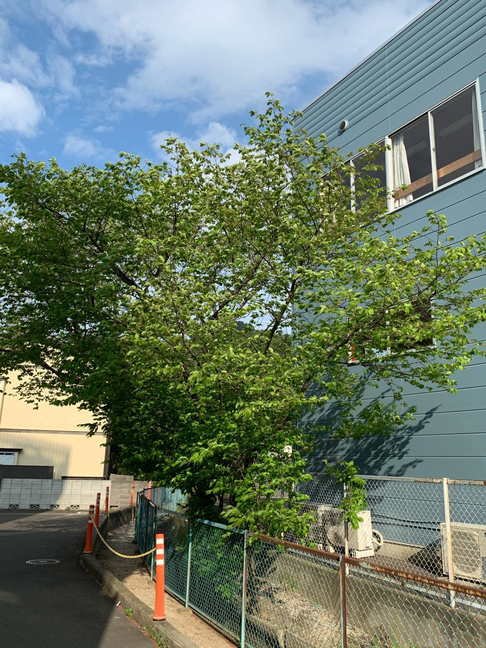 MAX FIGHTING SPORTS GYM(マックス ファイティング スポーツ ジム) | 福島市・キックボクシング・格闘技・トレーニング・ダイエット